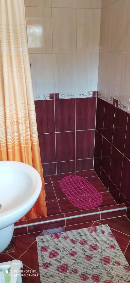 Apartmani Aleksijevic Zlatibor Eksteriør billede