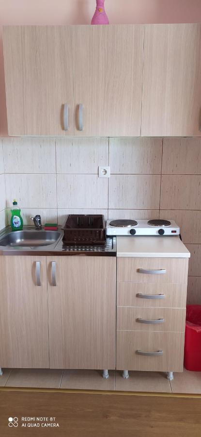Apartmani Aleksijevic Zlatibor Eksteriør billede