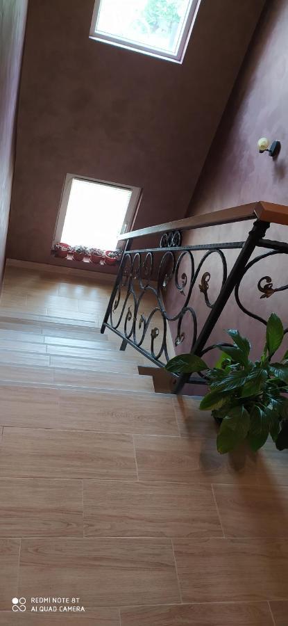 Apartmani Aleksijevic Zlatibor Eksteriør billede